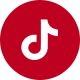 TikTok Icon